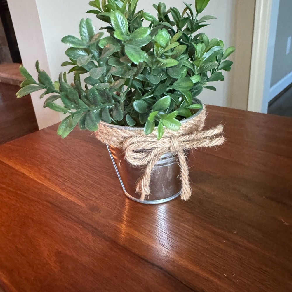 Greenery in Silver Bucket with Jute Accent